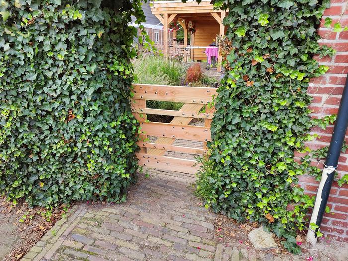 Houten tuinpoortje in de klimop